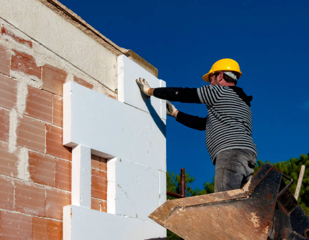 Best Insulation Installation Services in Virginia, MN