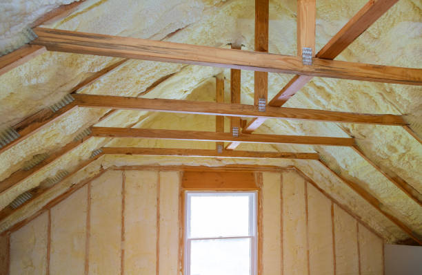 Best Commercial Insulation in Virginia, MN