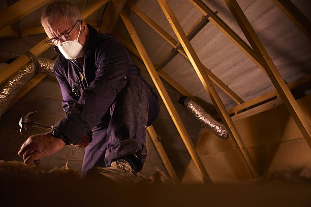 Best Types of Insulation in Virginia, MN